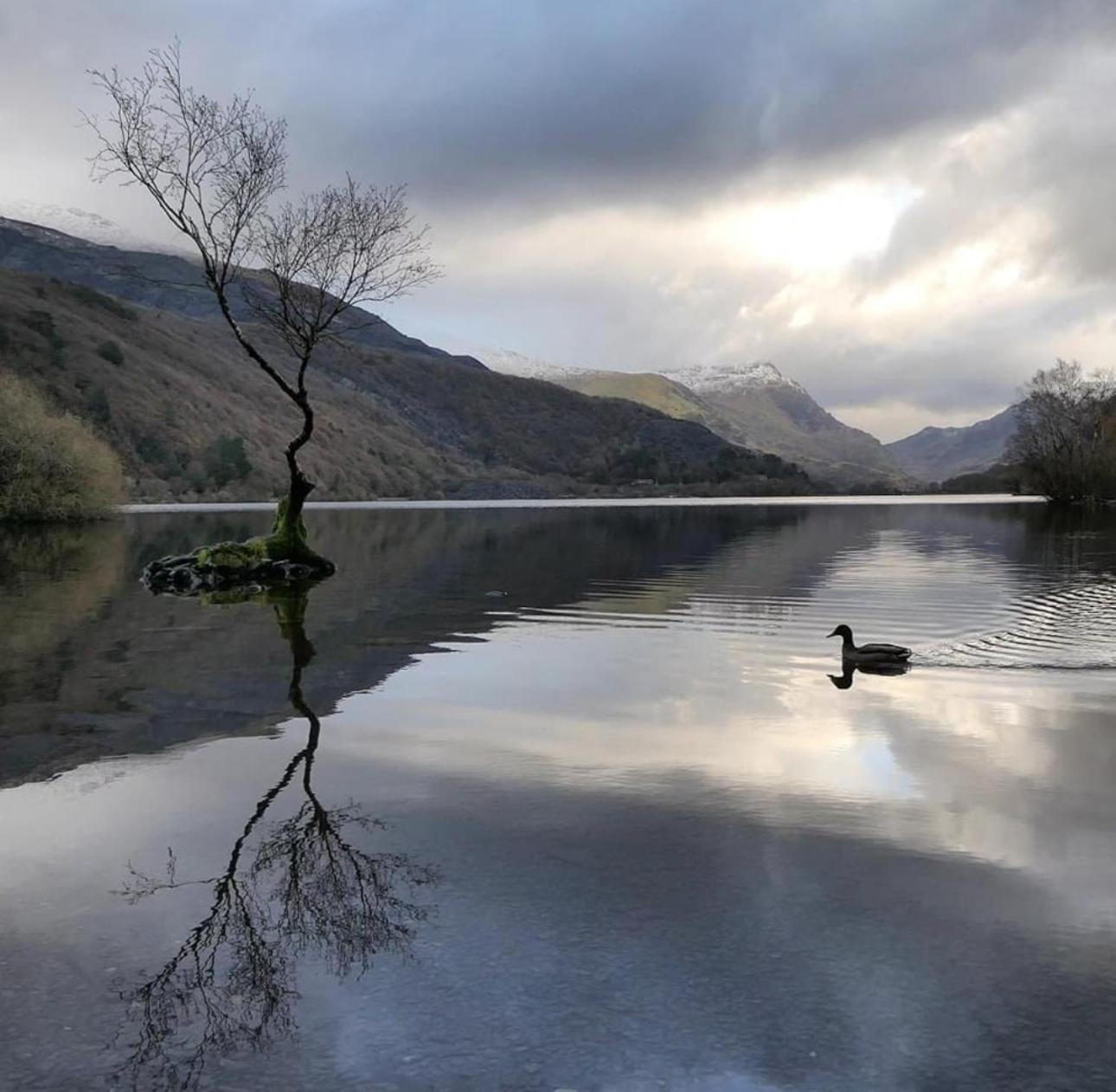 Cosy 2 Bedroom Cottage In Betws Y Coed, Snowdonia エクステリア 写真